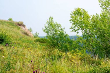 Yaz aylarında dağ yeşili orman ve nehir