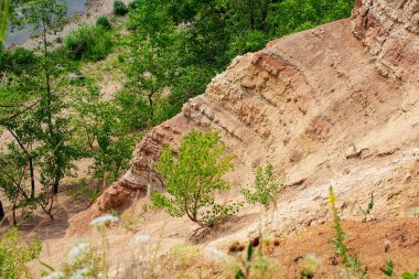 Yaz aylarında dağ yeşili orman ve nehir