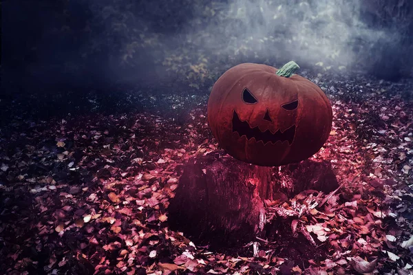 Halloween Mystical Jack O. Pumpkin lantern in a foggy forest. Spooky Halloween Poster. Halloween background wallpaper with pumpkin jack lantern — Stock Photo, Image