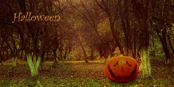 Halloween Mystical Jack O. Pumpkin Lantern in the Forest. Spooky Halloween Poster. Halloween background wallpaper with pumpkin jack lantern. The sinister eyes of a pumpkin. Halloween party. Autumn — Stok fotoğraf