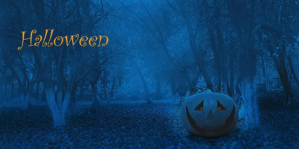 Halloween Mystical Jack O. Pumpkin Lantern in the Forest. Spooky Halloween Poster. Halloween background wallpaper with pumpkin jack lantern. The sinister eyes of a pumpkin. Halloween party. Autumn — Zdjęcie stockowe