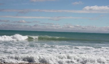 Sahilde palmiye ağaçları