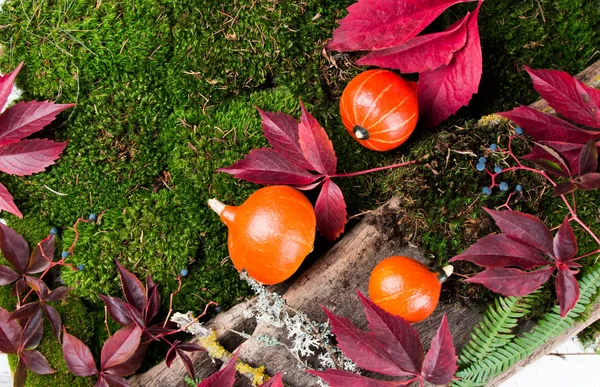 Barwne Liście Dynie Drewnianym Stole Koncepcja Jesienna Mix Kwiatów Pokładzie — Zdjęcie stockowe