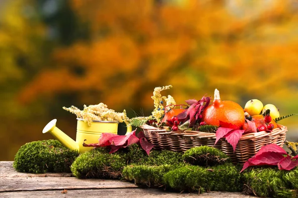 Farbige Blätter Und Kürbisse Auf Einem Holztisch Herbstkonzept Blumen Bord — Stockfoto