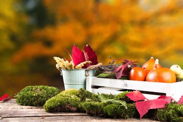 Färgade Löv Och Pumpor Träbord Höstens Koncept Blanda Blommor Ombord — Stockfoto