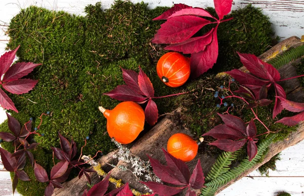 Farbige Blätter Und Kürbisse Auf Einem Holztisch Herbstkonzept Blumen Bord — Stockfoto