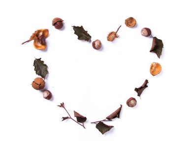 Sonbahar kompozisyonu. Beyaz arka planda bir fincan kahve ve yaprak. Düz lay, üst görünüm, kopya alanı Sonbahar