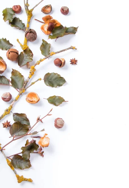 Herbstkomposition Tasse Kaffee Und Blätter Auf Weißem Hintergrund Flache Lage — Stockfoto