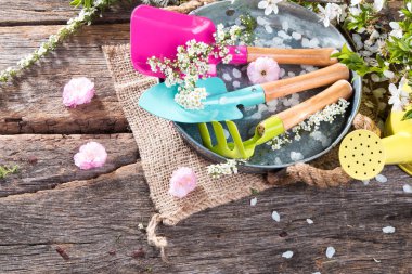 Bahçe geçiş ücretleri ve ahşap arka plan bahar fide. 