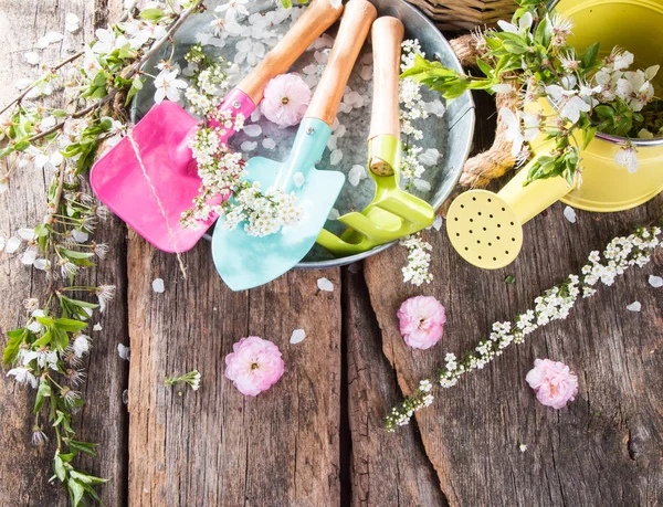 Portagens Jardim Mudas Primavera Fundo Madeira — Fotografia de Stock