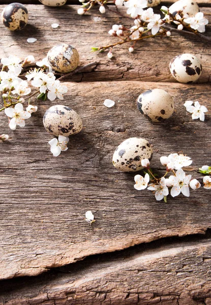 Ovos Páscoa Flor Mesa Madeira Conceito Primavera Prancha — Fotografia de Stock