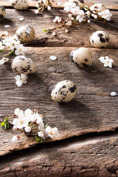 Ovos Páscoa Flor Mesa Madeira Conceito Primavera Prancha — Fotografia de Stock