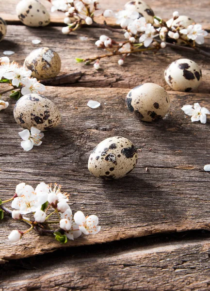 Ovos Páscoa Flor Mesa Madeira Conceito Primavera Prancha — Fotografia de Stock