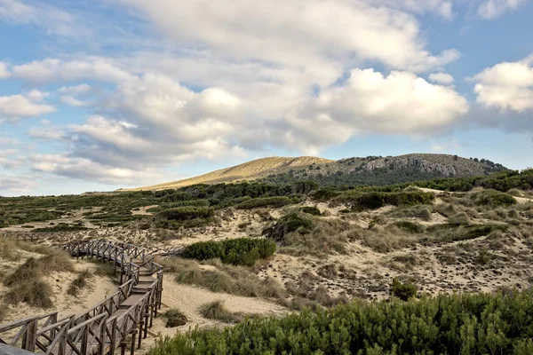 Passarela de madeira com céu bonito, dunas e colinas de areia, cala mesquida, Maiorca, Espanha . — Fotografia de Stock