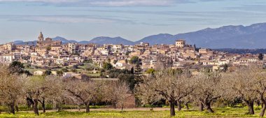 Eski İspanyol şehir Montuiri çiçek açması ağaçlar ve tramountana Dağları, mallorca, İspanya.