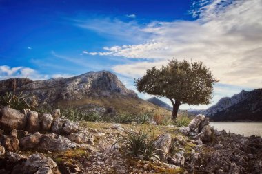 Cuber resevoir, göl, Puig Major, Tramuntana, ağaçlar, kayalar, güneş ışığı, mavi gökyüzü, beyaz bulutlar, Turkuaz su, Mallorca, Ispanya.