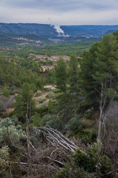 Central nuclear y bosque — Foto de Stock