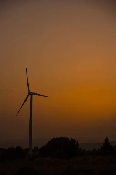 Windmill at golden sunset — Stock Photo, Image