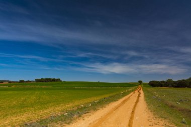 Parça, alanlar, ağaçlar ve mavi gökyüzü