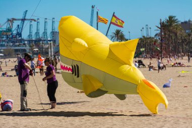 Köpekbalığı için uçuş sonu