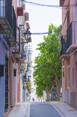 Ağaçlı dar bir sokak.