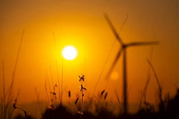 Tour Moulin Vent Déconcentrée Avec Coucher Soleil Orange Lever Soleil — Photo