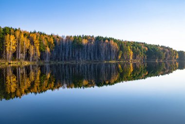 parlak sonbahar yaprak döken ve iğne yapraklı orman sakin gölde su yansıtılır. sonbahar orman çok renkli yeşillik. ayna görüntüsü