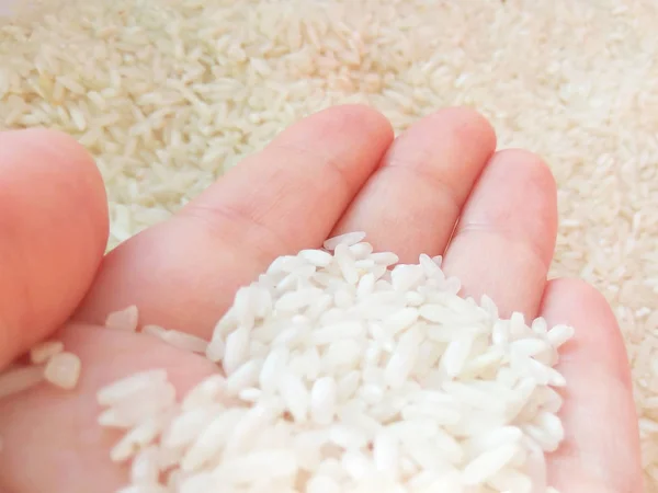 Küçük Uzun Asya Beyaz Ile Gıda Arka Plan Pirinç — Stok fotoğraf