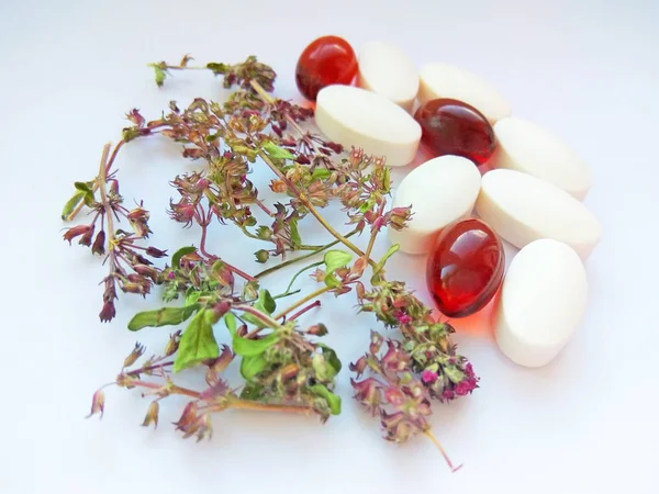 Травяные Лекарства Таблетки Сухими Природными Травами Белом Фоне Концепция Травяной — стоковое фото