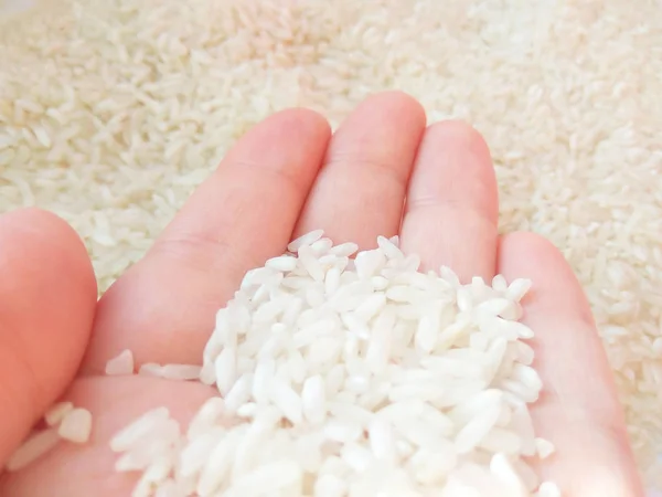 Gıda Arka Plan Beyaz Pirinç Ile — Stok fotoğraf