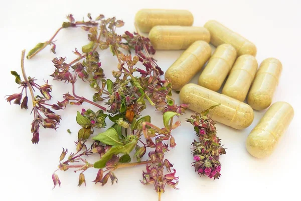 Beyaz Arka Planda Kurumuş Doğal Bitkilerle Birlikte Bitkisel Ilaç Hapları — Stok fotoğraf