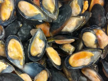 Buzla kabukların içinde donmuş midye açıldı. Pişmiş deniz ürünleri arka plan yakın