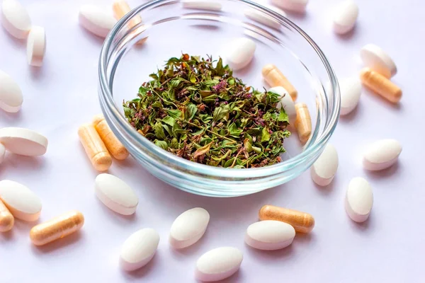 Ervas Secas Uma Tigela Suplementos Nutricionais Pílulas Fundo Medicina Alternativa — Fotografia de Stock