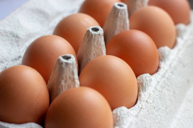 Bir sürü kahverengi ve benekli tavuk yumurtası karton tepsi kutusunda süpermarkette satışa sunuluyor..