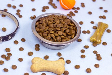 Kahverengi bisküvi kemikleri ve açık mavi arka planda siyah yakalı köpek yemi için gevrek organik parçalar. Sağlıklı kuru hayvan maması konsepti.