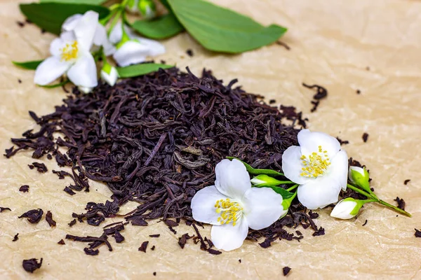 Świeże Organiczne Aromatyczne Suche Czarne Liście Herbaty Stos Białymi Kwiatami — Zdjęcie stockowe