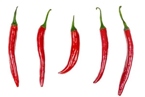 Ovanifrån Färsk Röd Varm Chili Peppar Platt Låg Samling Isolerad — Stockfoto