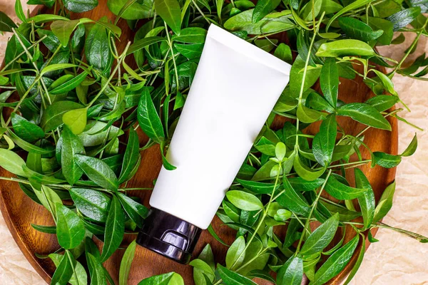 Nemlendirici krem için beyaz plastik kozmetik konteynır. Arka plan olarak parlak yeşil yapraklar kullanılıyor. Doğal vücut ve cilt bakımı, sağlık, sağlık ve güzellik kavramı.