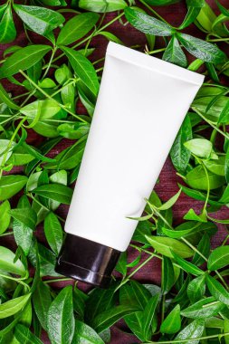 Nemlendirici krem için beyaz plastik kozmetik konteynırın arka plan olarak parlak yeşil yaprakları olan bir maketi. Doğal vücut ve cilt bakımı, sağlık, sağlık ve güzellik kavramı.