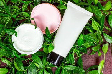 Nemlendirici krem için beyaz plastik kozmetik konteynırın arka plan olarak parlak yeşil yaprakları olan bir maketi. Doğal vücut ve cilt bakımı, sağlık, sağlık ve güzellik kavramı.