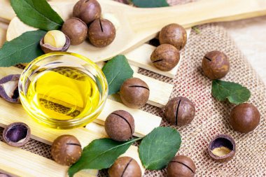 Sarı yağlı kahverengi macadamia fındıkları açık ahşap arka planda cam bir kasede.