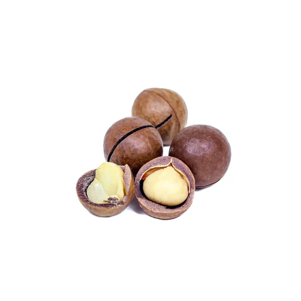 Kacang Macadamia Mentah Segar Yang Diisolasi Pada Latar Belakang Putih — Stok Foto