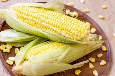 Taze pişmemiş sarı tatlı mısır, yeşil yapraklar ve tohumlarla yaz ve sonbahar mevsimlerinde ahşap arka planda..