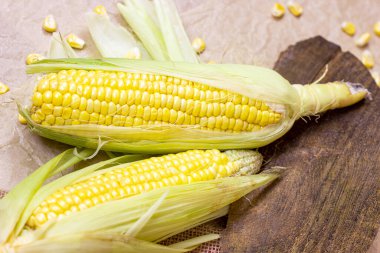 Taze pişmemiş sarı tatlı mısır, yeşil yapraklar ve tohumlarla yaz ve sonbahar mevsimlerinde ahşap arka planda..