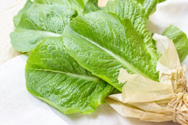 Salata için açık arkaplanda taze yeşil marul yaprakları görünüyor..