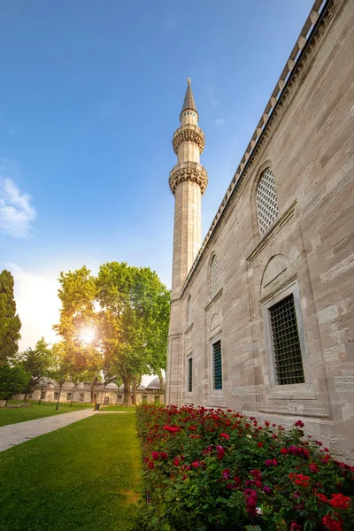 Bahçe Süleymaniye Camii Istanbul'da çiçekli