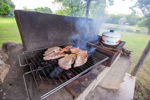 Barbekü ızgarası. Doğada, dışarıda, yakın.