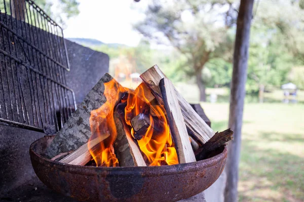 Kömürün üstünde ateş. Şiş Kebap için yangın hazırlanması. piknik. Açık rekreasyon.