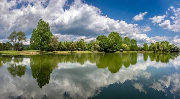 sarı çiçek çiçek bahar zaman, doğal arka plan