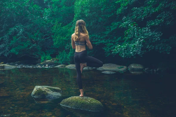 一个做瑜伽的女人在河里的岩石上摆出一副树的姿势 — 图库照片